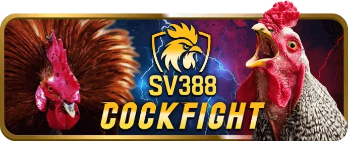 Hoàn Trả Cực Cao fvip88